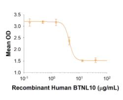 Recombinant Human BTNL10/Butyrophilin-like 10 Fc Protein, CF  10014-BT-050