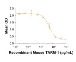 Recombinant Mouse OLT-2/TARM1 Fc Chimera Protein, CF  10000-TA-050